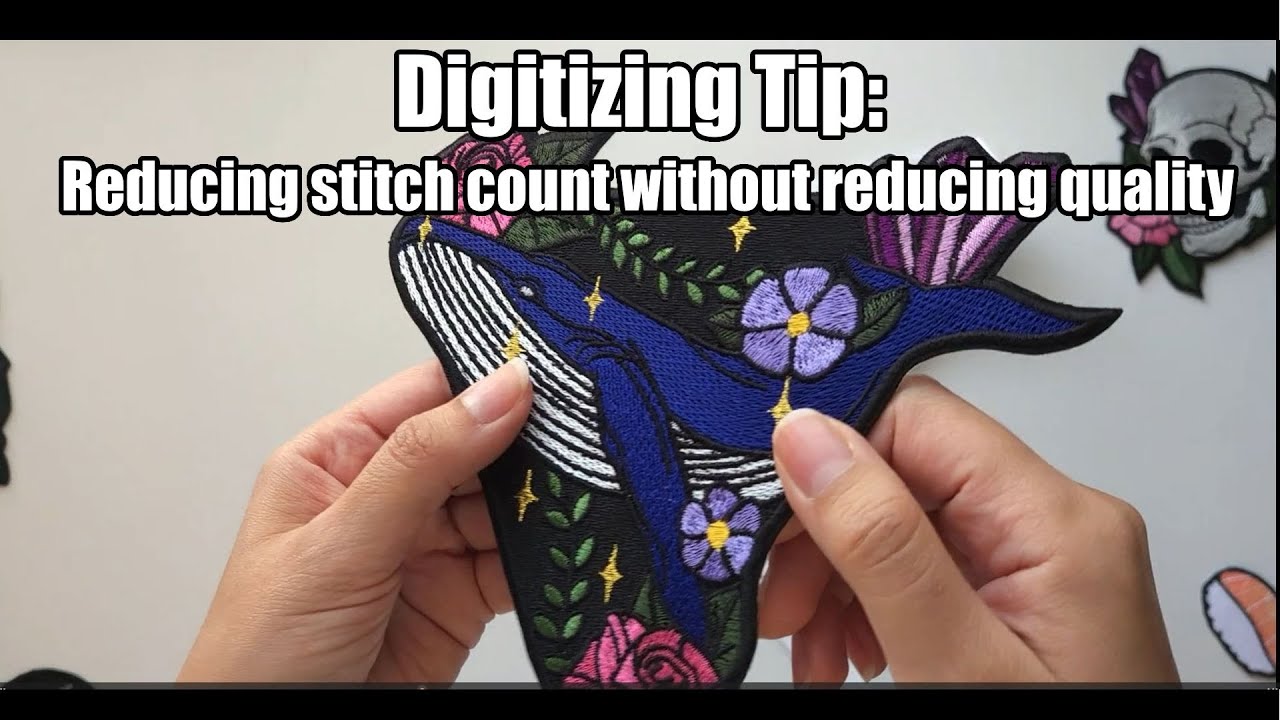 Barudan File Formats Demystified: Compatibility, Conversion & Optimization (2025 Guide)